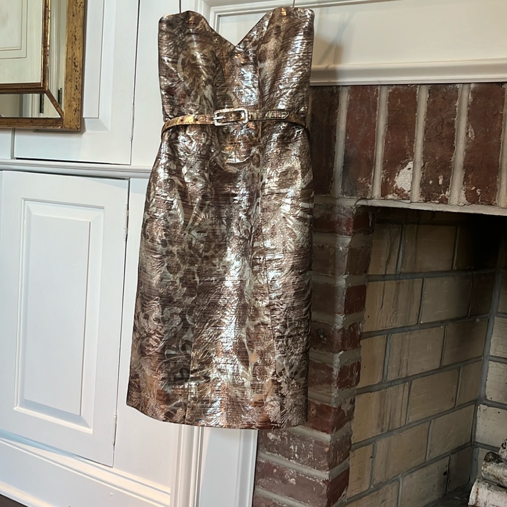 Badgley Mischka Beauiful Cocktail Dress